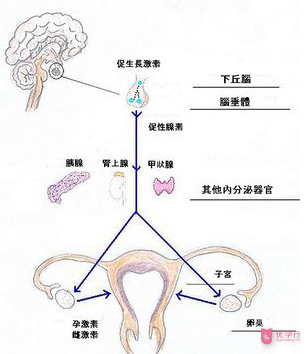 QQ圖片20171205154633.png