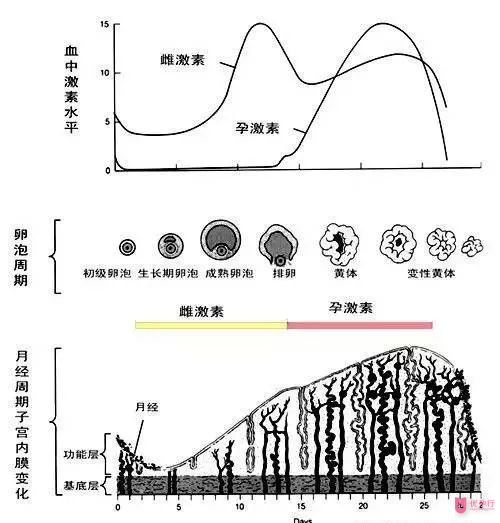 QQ圖片20171214134511.png