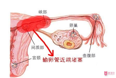 下載 (1).jpg