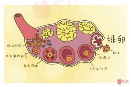 下載 (1).jpg