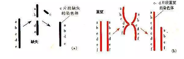 QQ圖片20180605134202.png