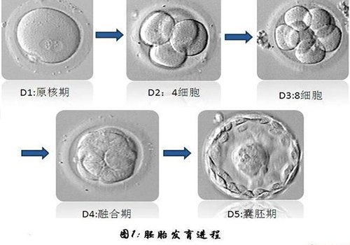 255455-恢復的.jpg