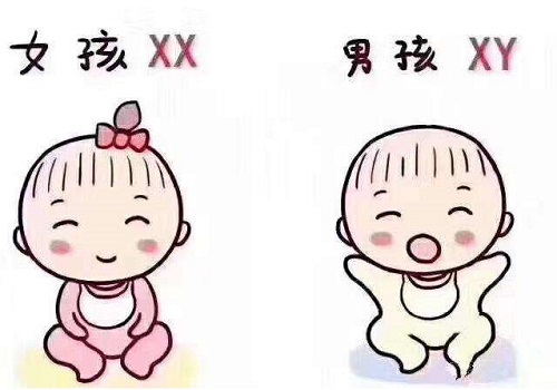 美國試管嬰兒價格多少錢